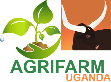 AgriFarm Uganda